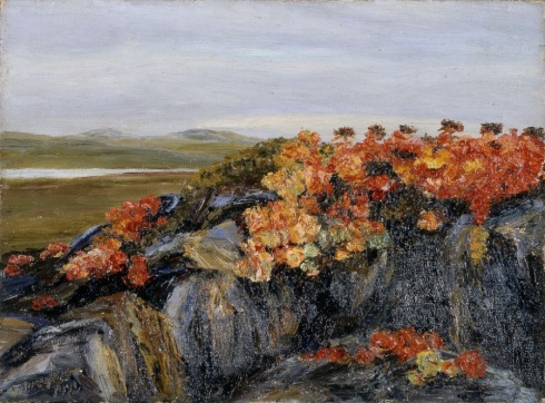 Писахов С.Г. (1879–1960). Красные цветы на Новой Земле. Этюд. 1910-е